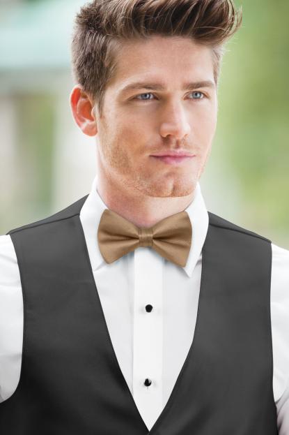 Gold Simply Solids Bow Tie